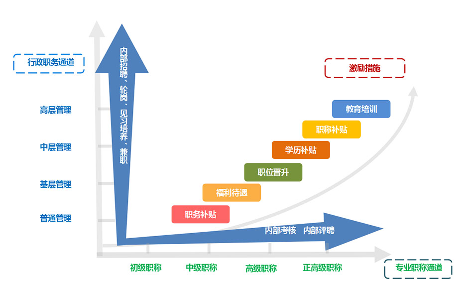 双轨制职业规划发展体系